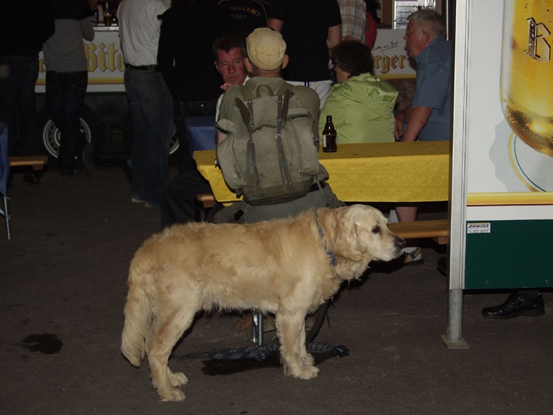 Thalfang 2011