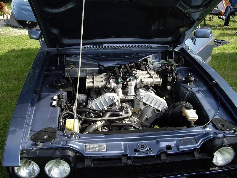 Capritreffen Friesland 2009