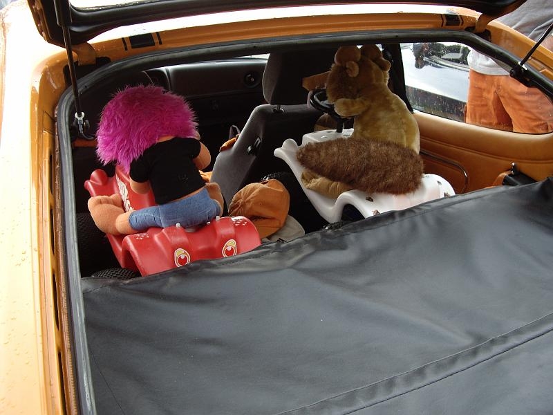 Capritreffen Friesland 2009