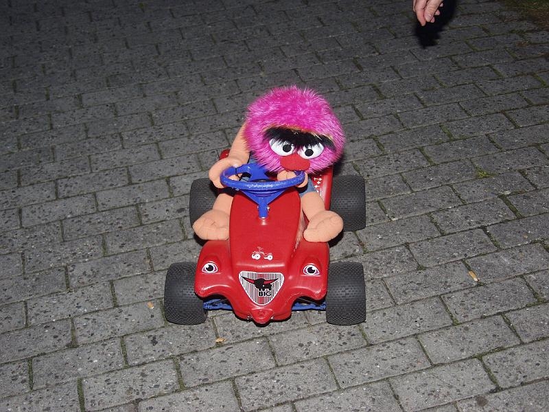 Capritreffen Friesland 2009